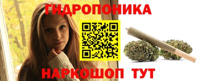 ешки Дубна