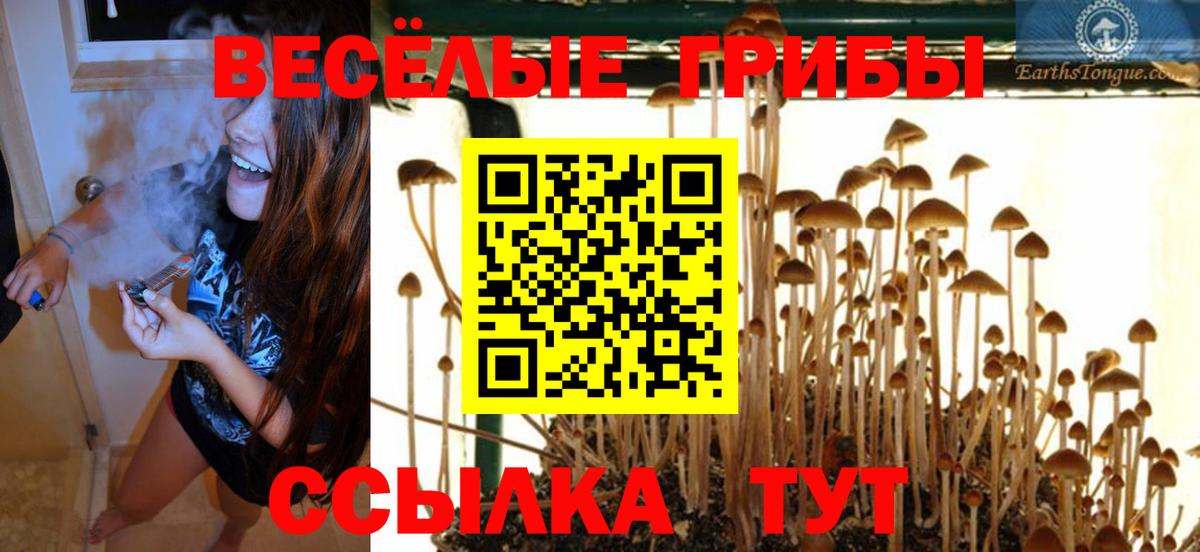 Псилоцибиновые грибы MAGIC MUSHROOMS  Вход с VPN  Карпинск 